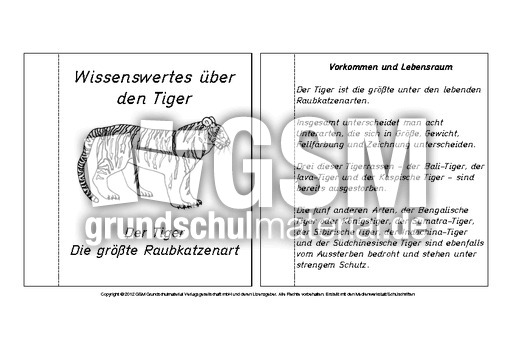 Mini-Buch-für-Lapbook-Tiger-Lesetext.pdf